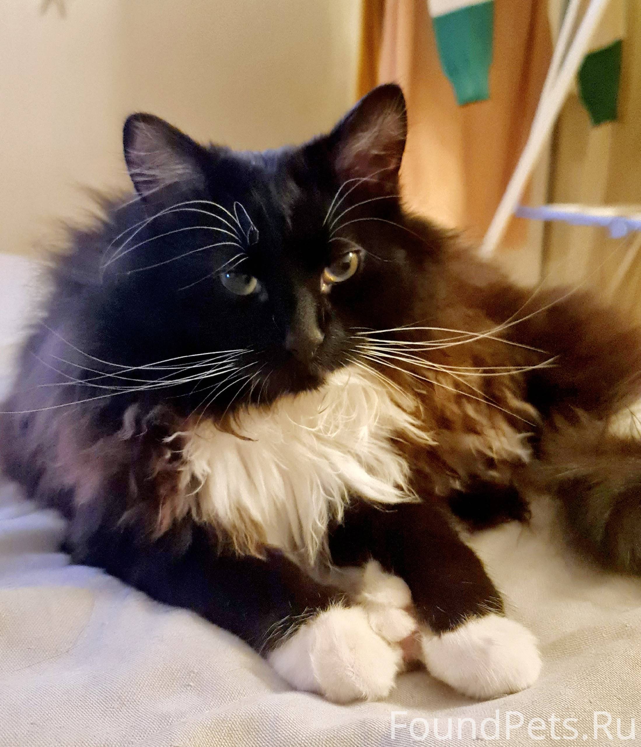 ЛО Приозерский р-н, СНТ Плодов...