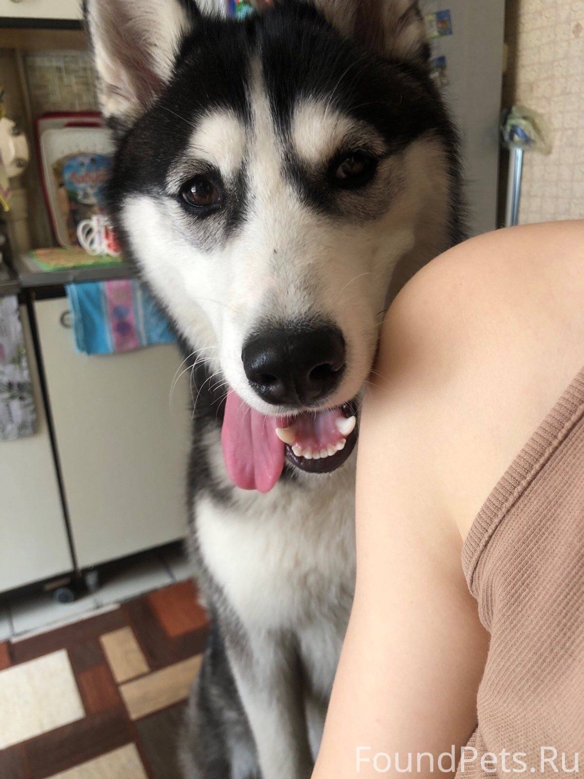 Добрый вечер! Прошу помощи❗️❗️...