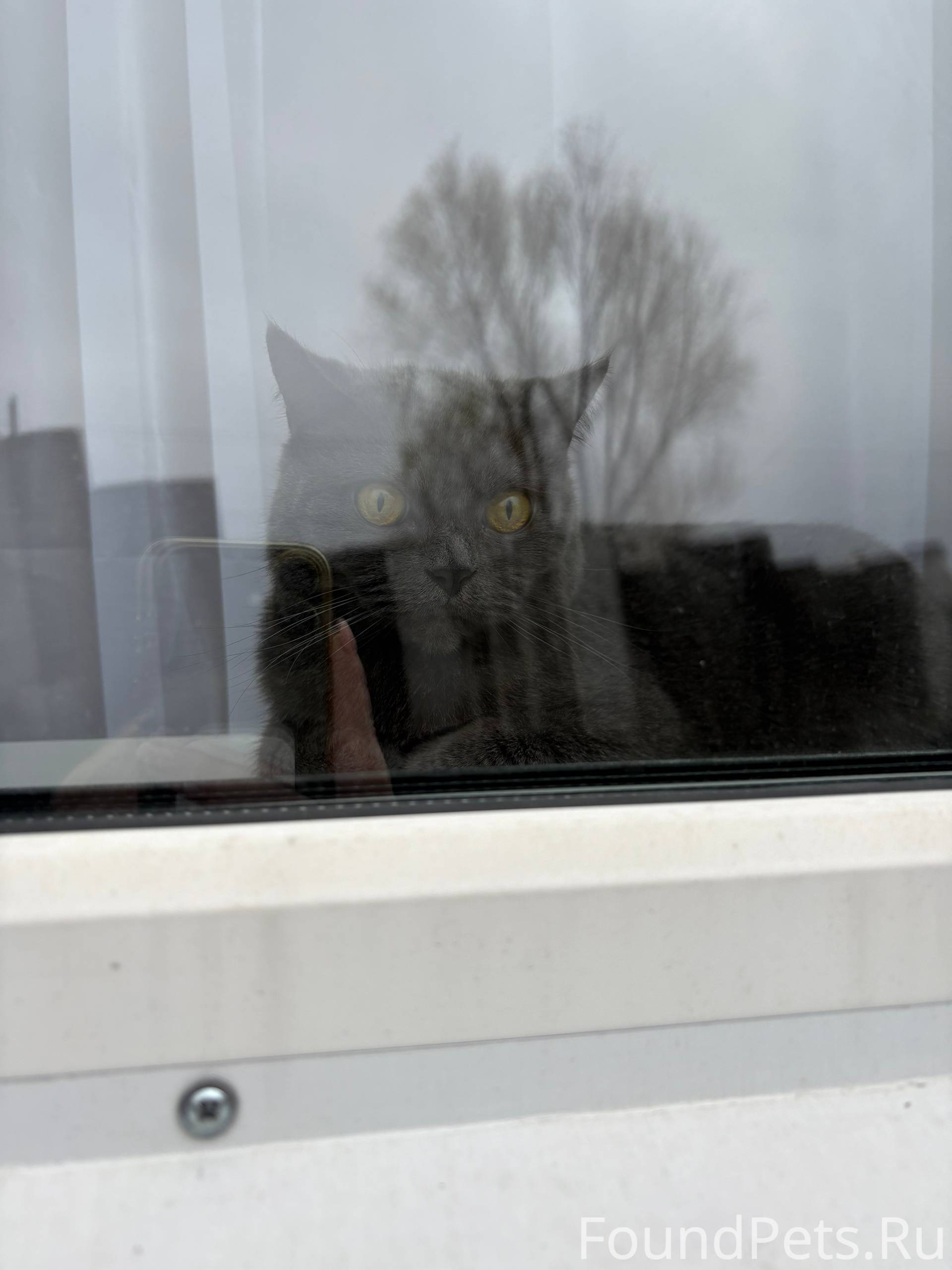 Помогите пожалуйста 🙏🏻😥 Послед...