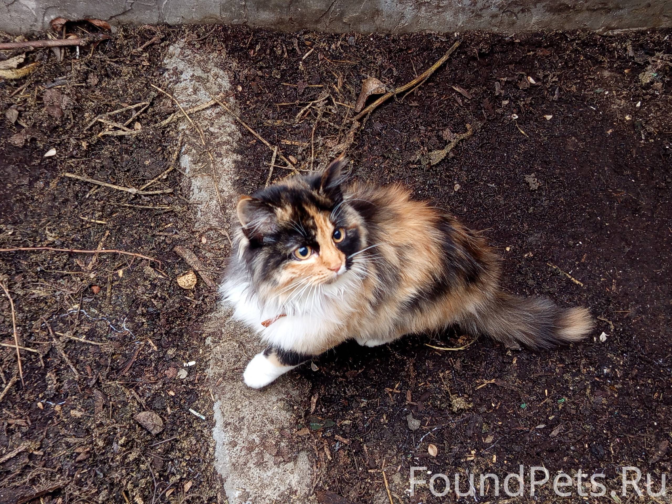 Не анон. вчера поздно ночью в....