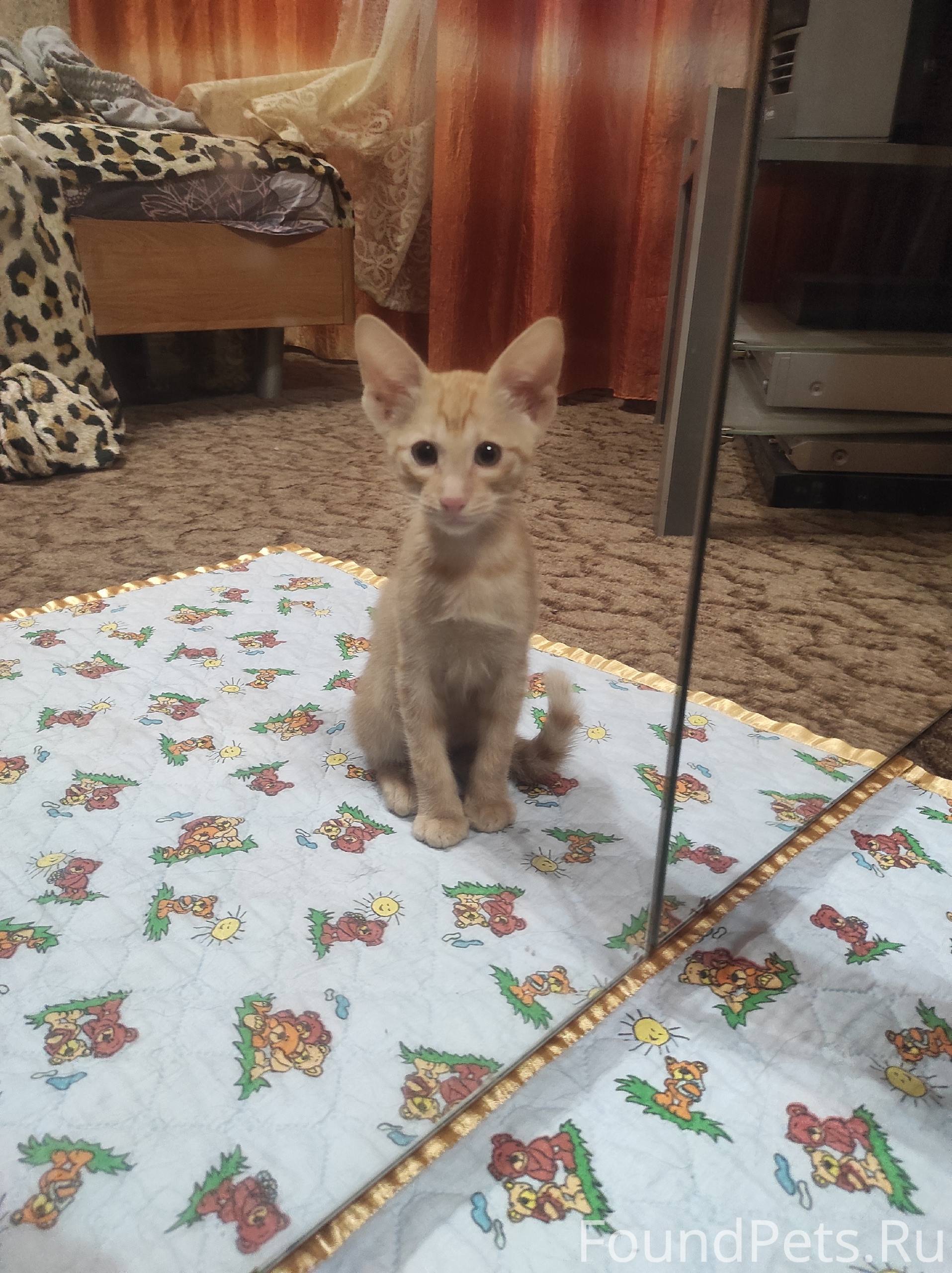 ПОЖАЛУЙСТА, РЕПОСТ В северном ...