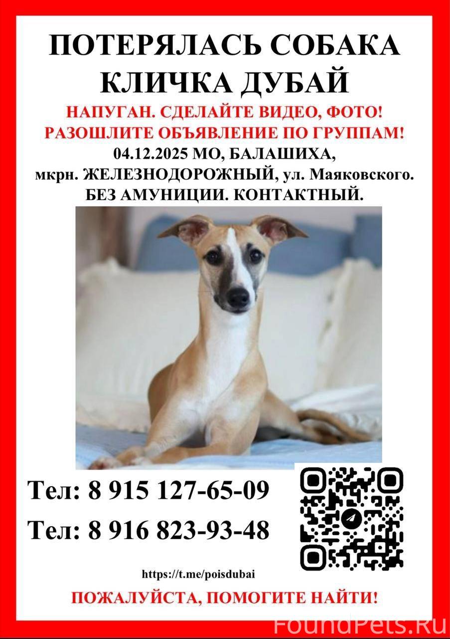 📍МО, Балашиха, Мкрн. Железнодо...