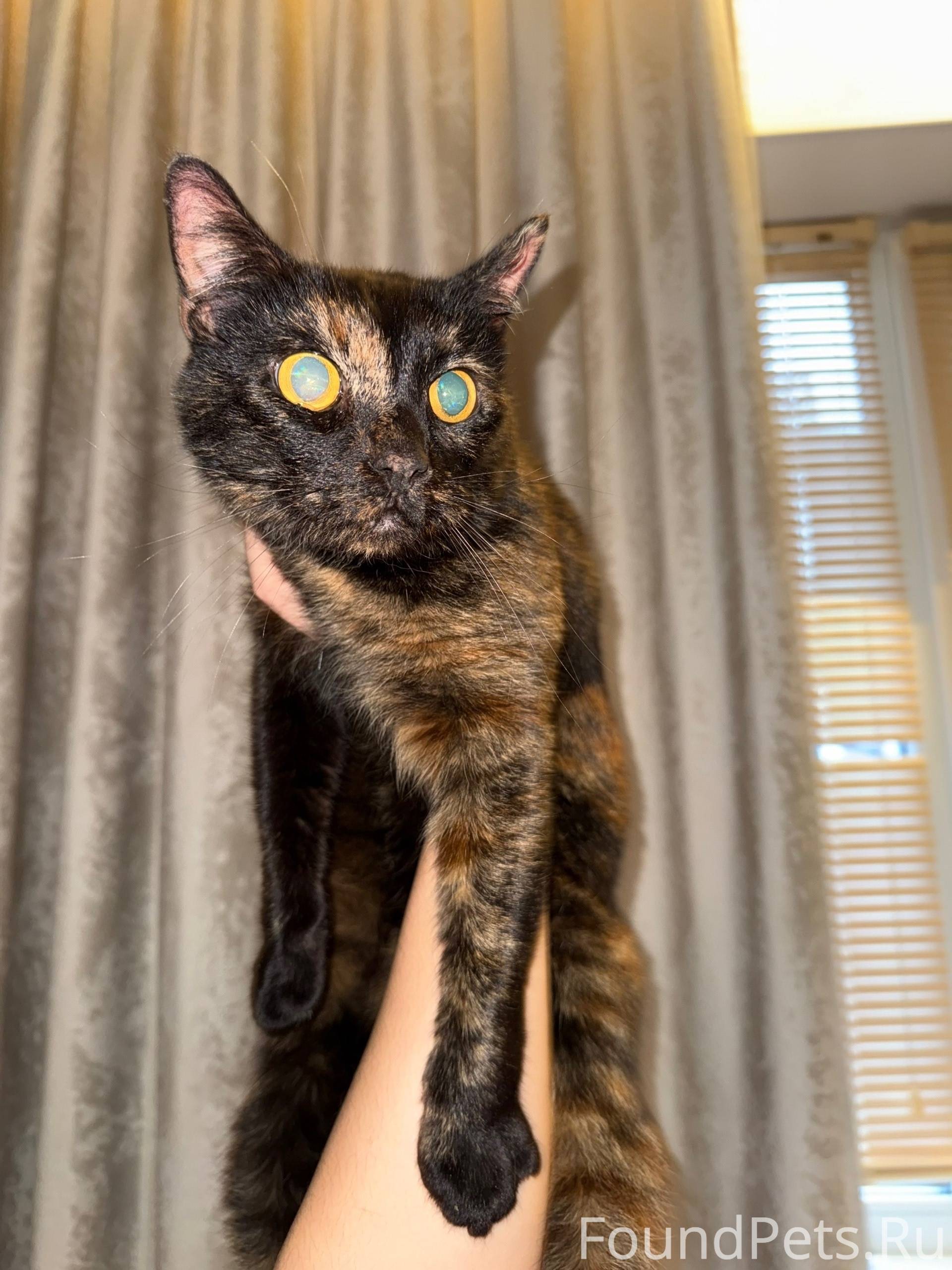 Тольятти. Тимофеевка. На ул. П...