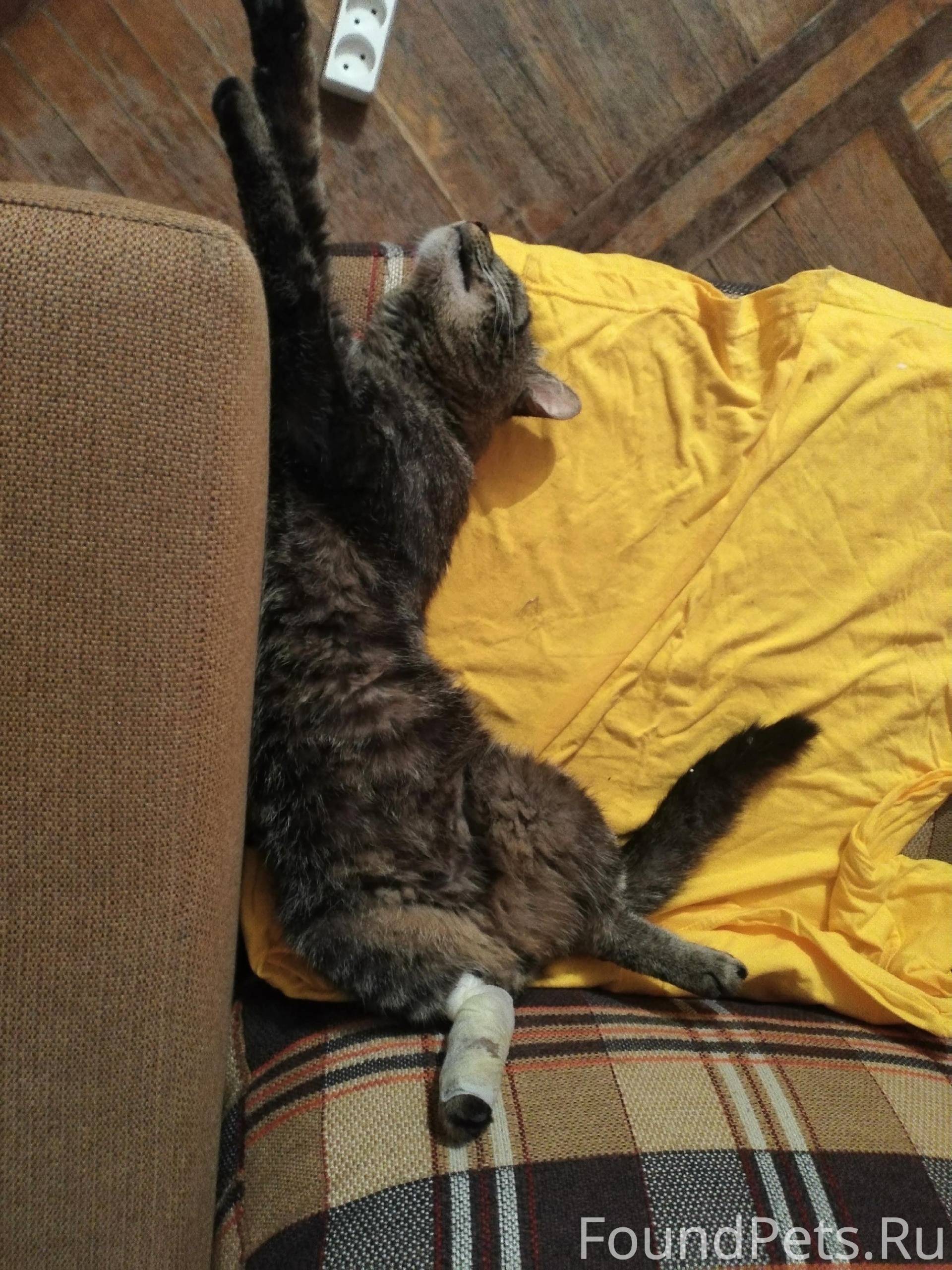 Был у меня кот... Нет, не...