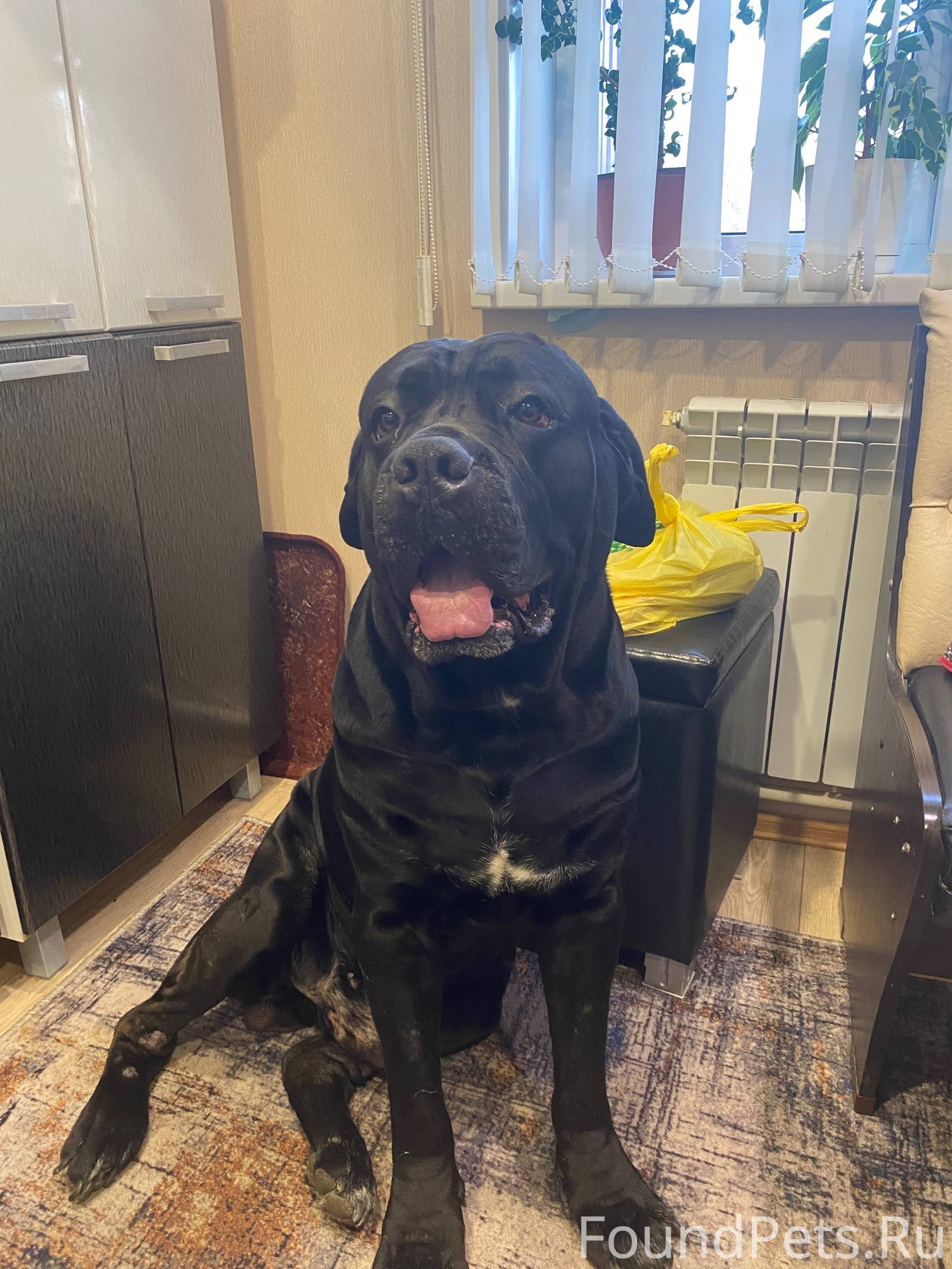 #Черныйсписок #Ржев 🆘🆘🆘🆘🆘🆘🆘🆘🆘С...