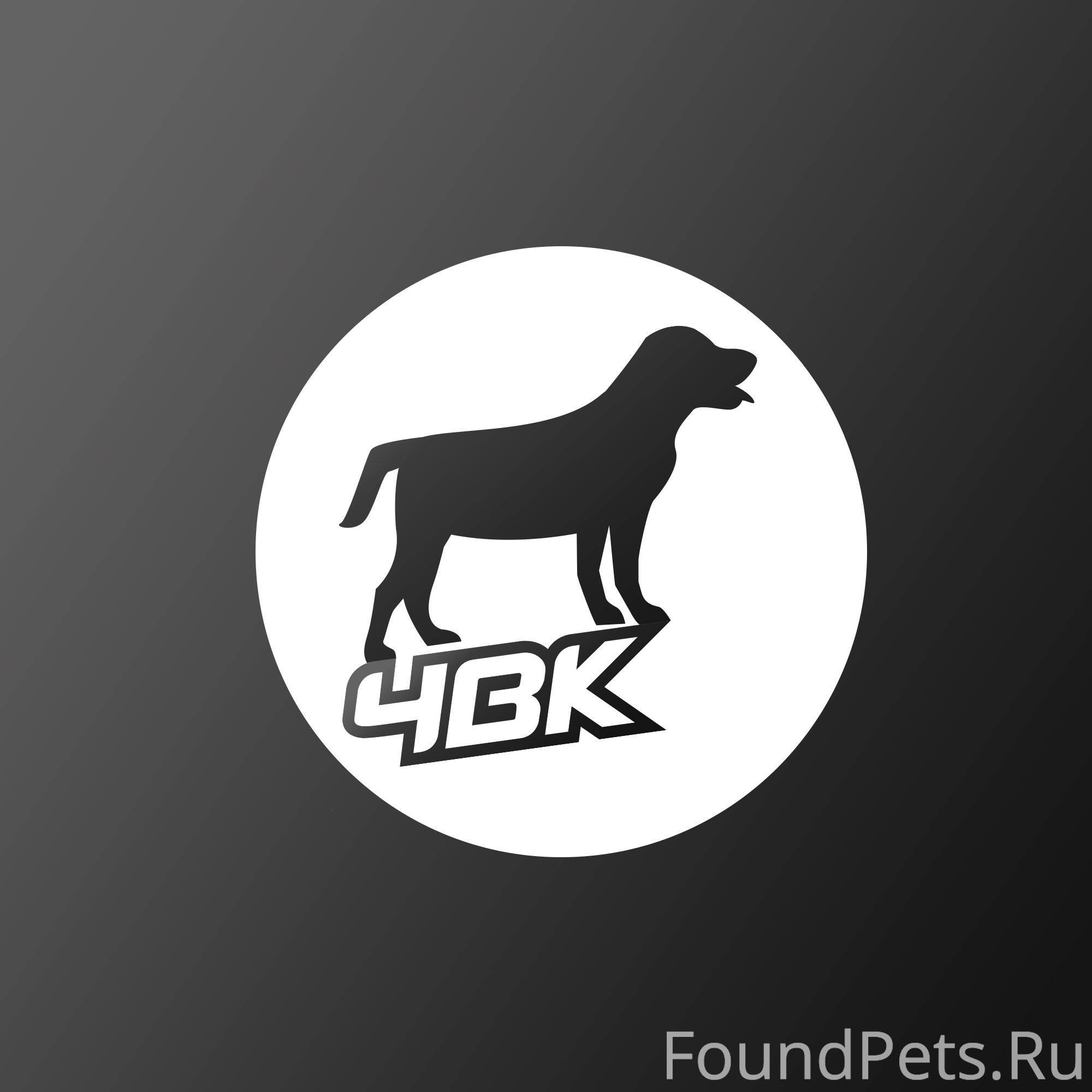 Всем доброго дня! Вечером 2 де...