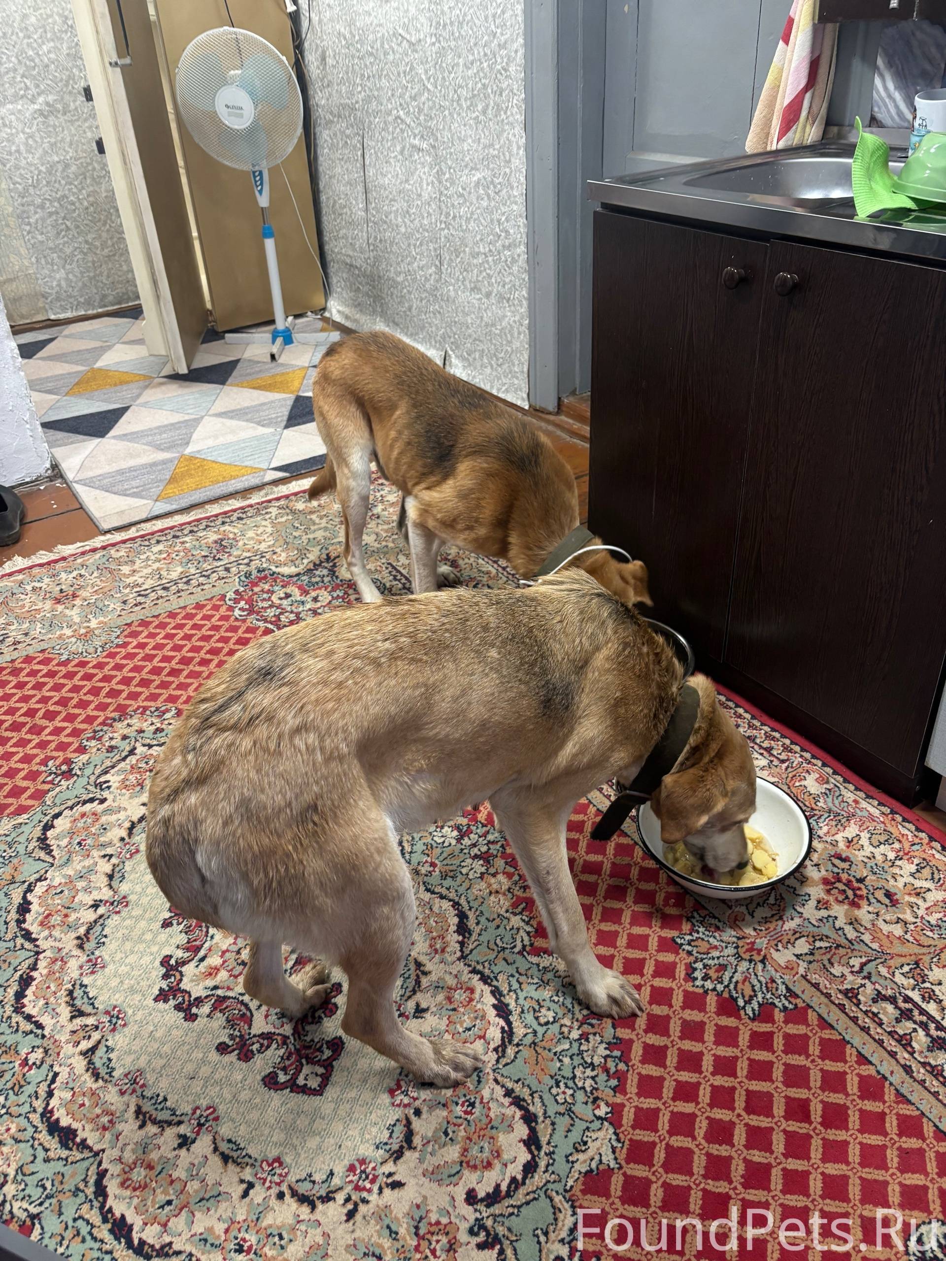 #Калужская_область Добрый день...