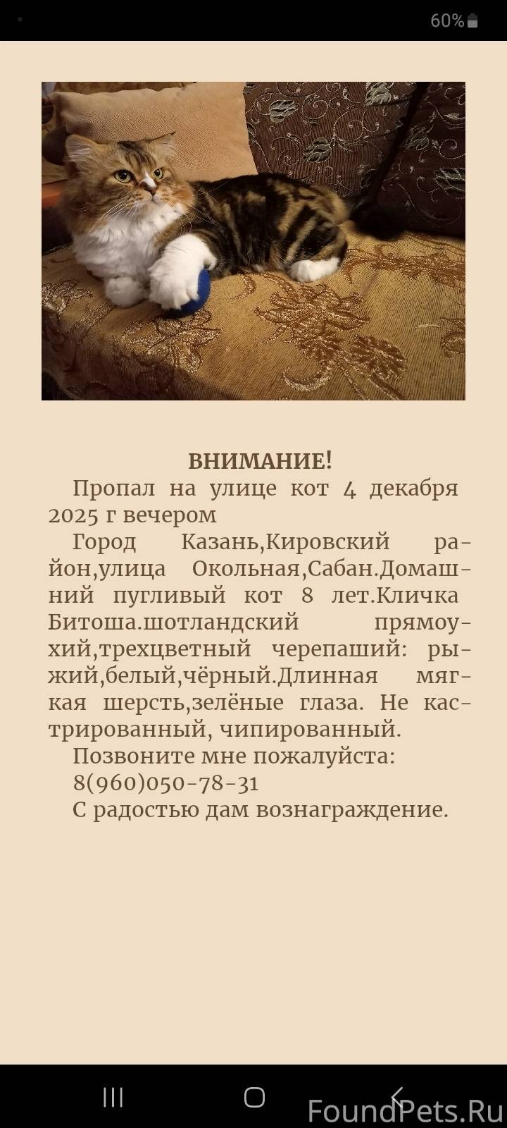 Внимание! Город Казань Пропал ...