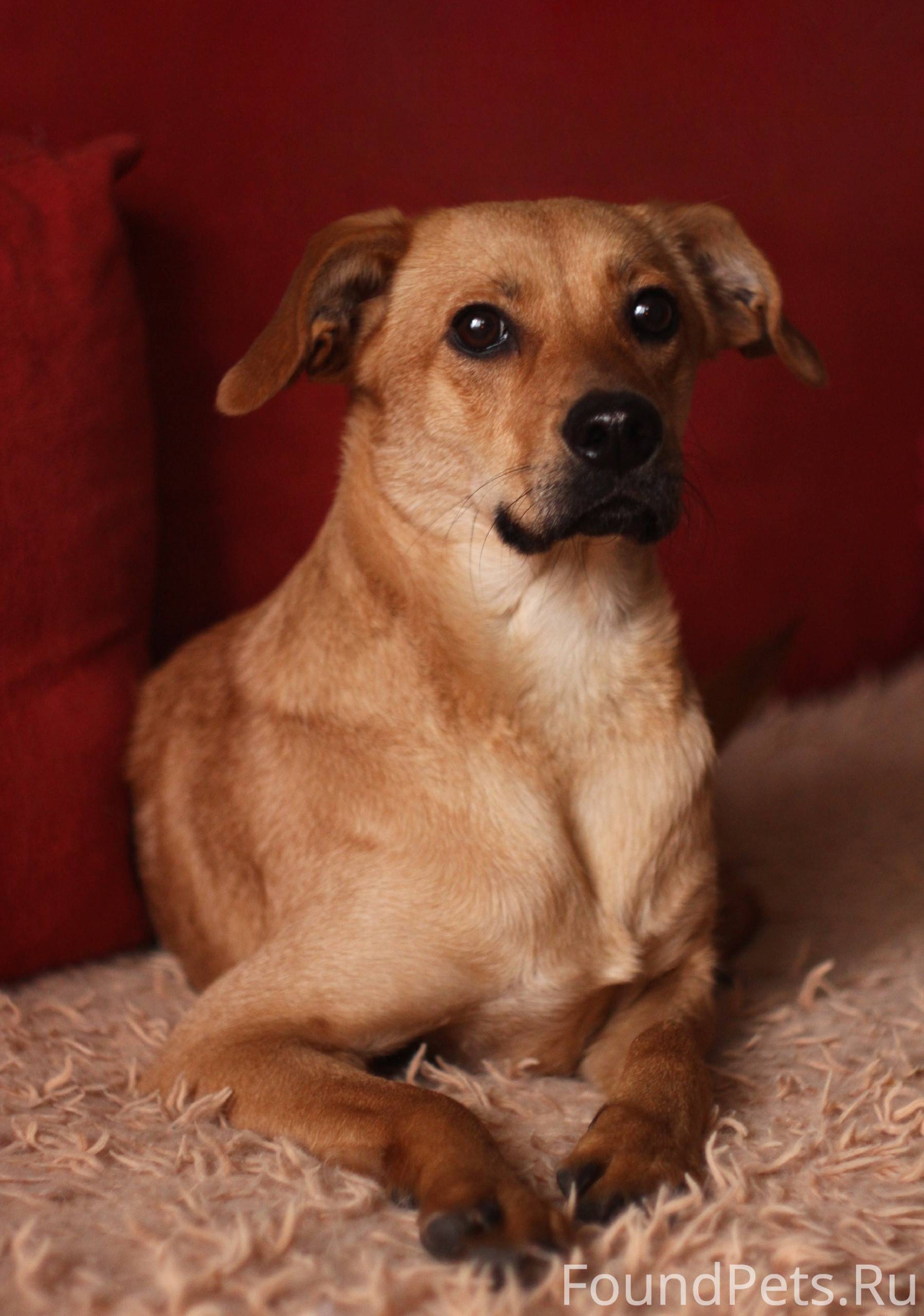 На улице была найдена очень ми...