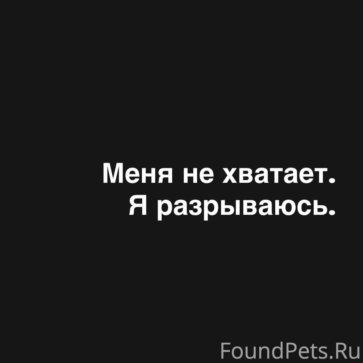 Я пишу это, едва найдя минуту....