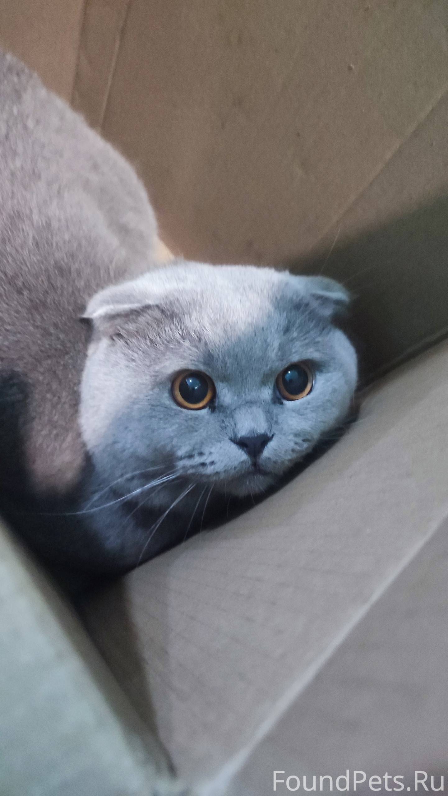 В подъезде дома Ф.Полетаева, 1...