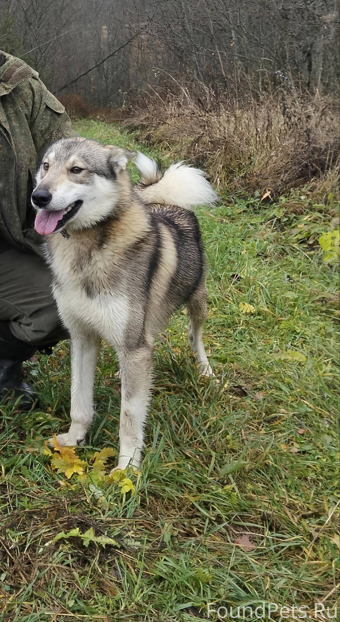 ВНИМАНИЕ! 03.12.2025 потерялас...