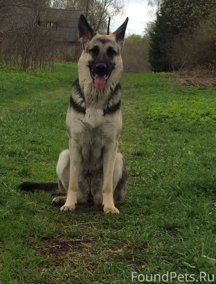 ВНИМАНИЕ!!! Сегодня, 08.12.202...