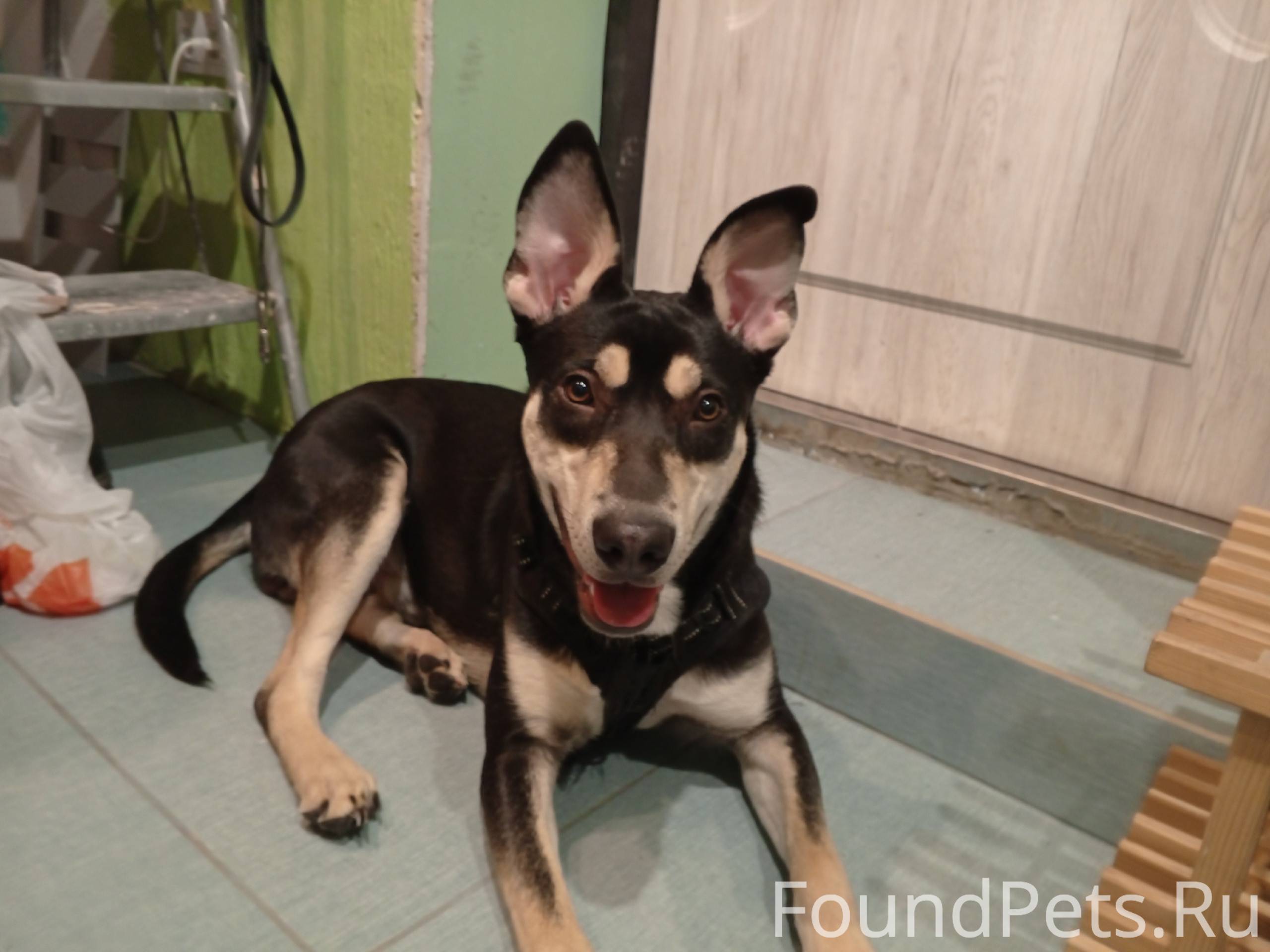 Здравствуйте. Очень прошу помо...