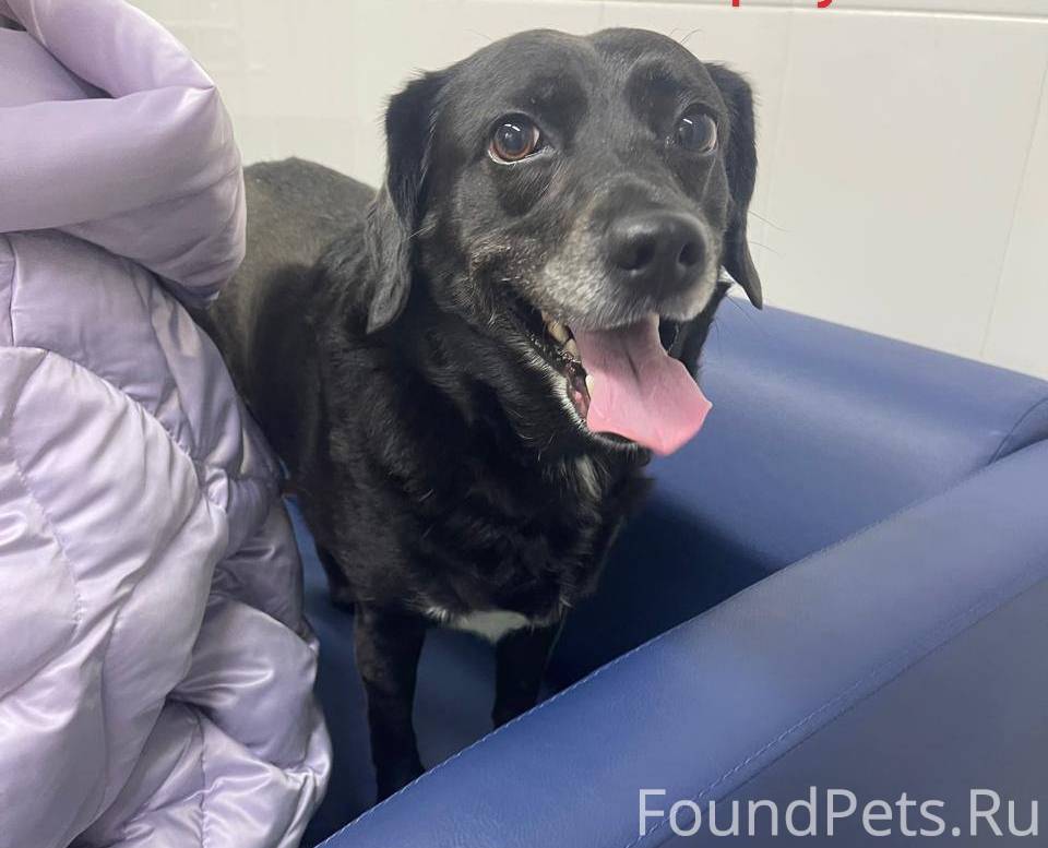 Помогите вернуться домой! 