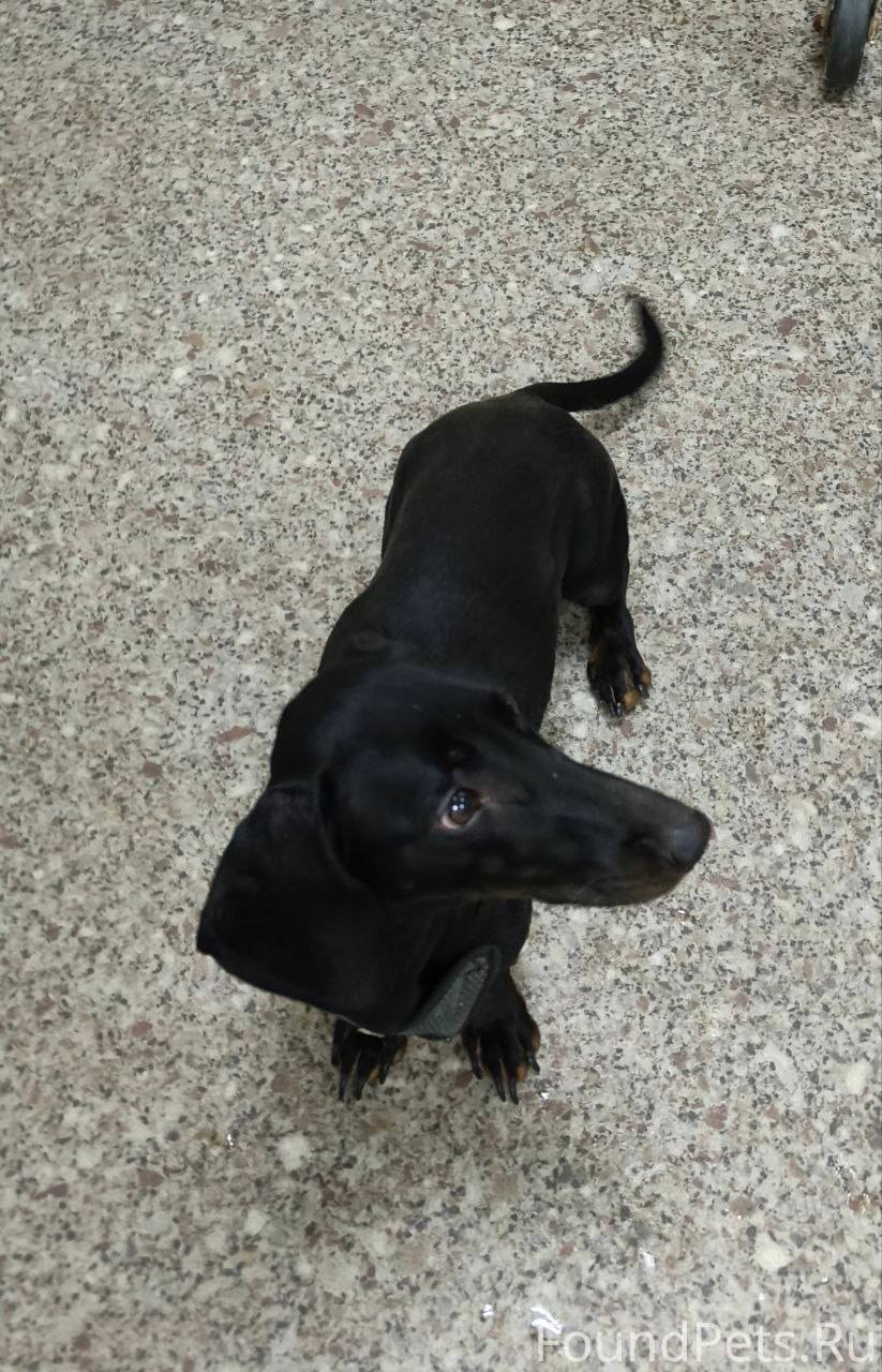 #тюменьотлов 07.12 на ул Парко...