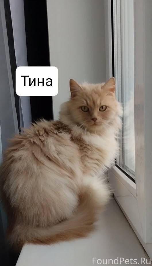 МО г Талдом, Дмитров, Дубна и....