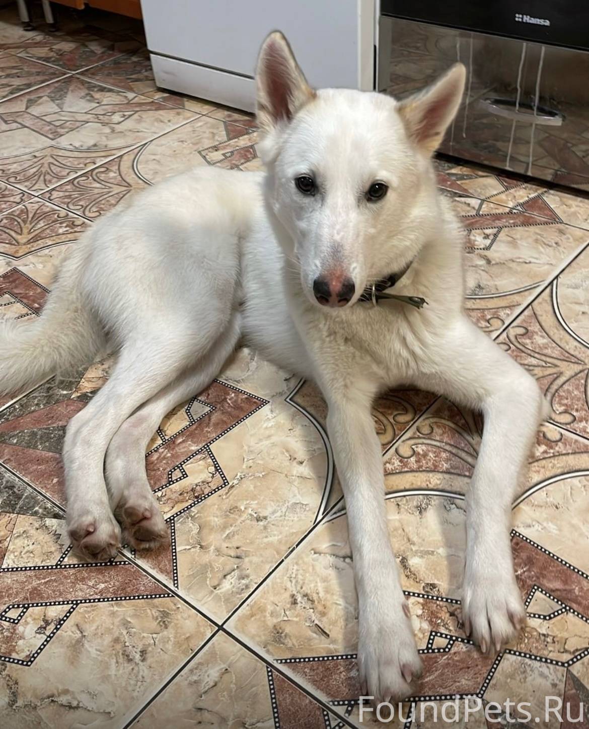 Добрый день. 7 декабря в Тайца...