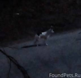 Яйва, более двух месяцев назад...