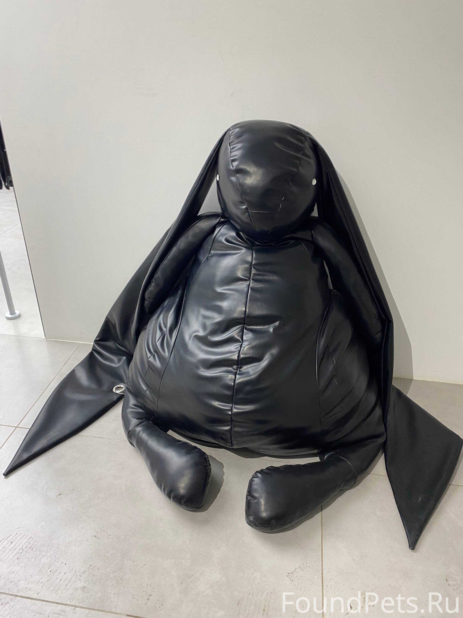 Зарплата - это наркотик, котов...