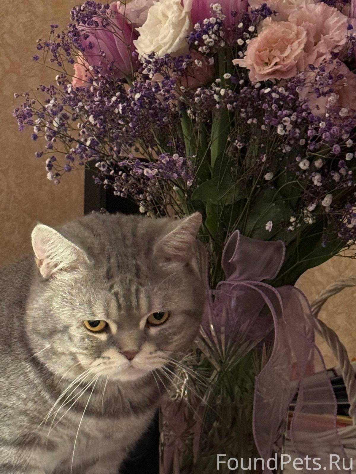 Сочи. Продолжаю искать любимог...