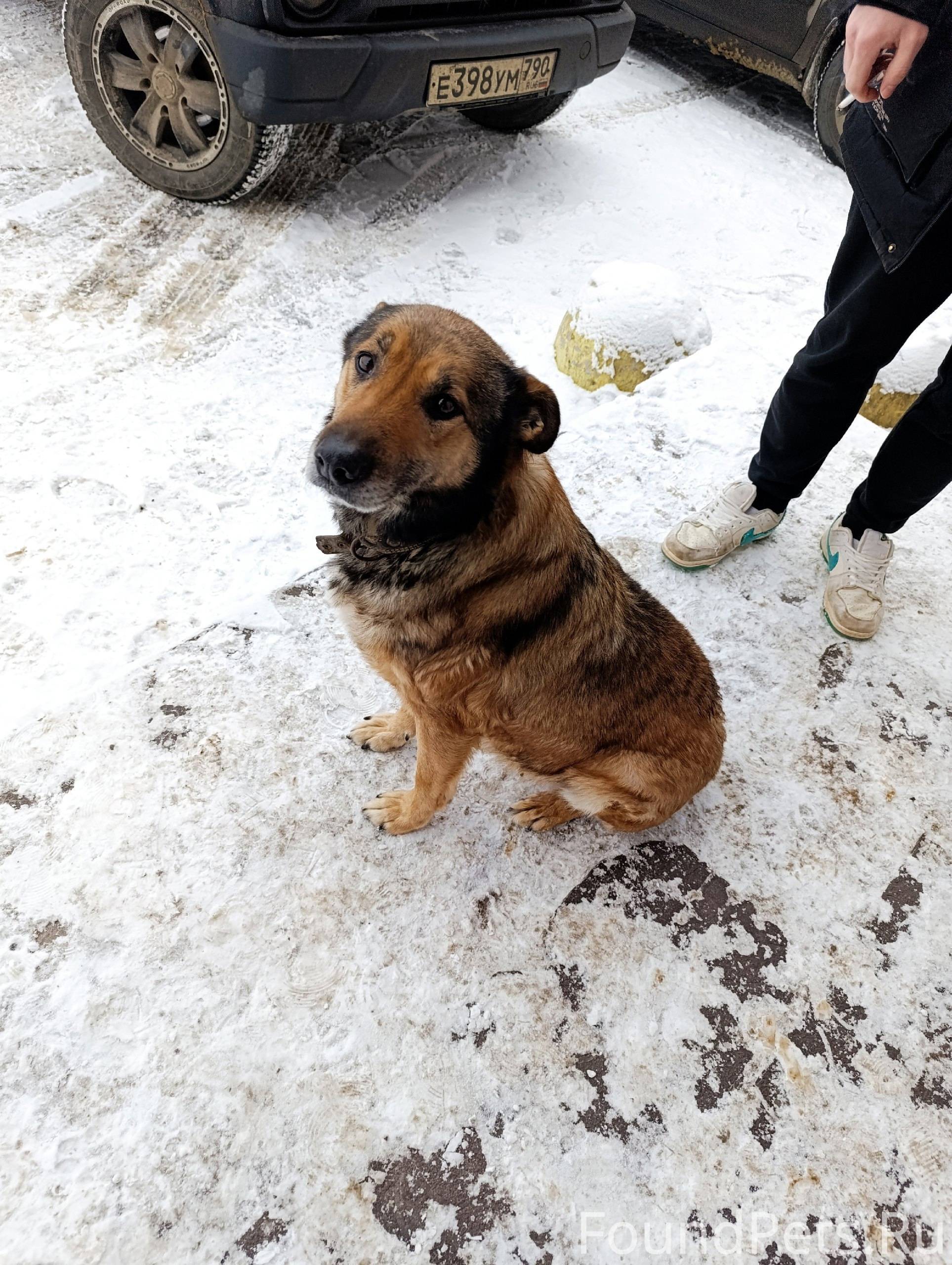 Добрый день. В Подосинках втор...