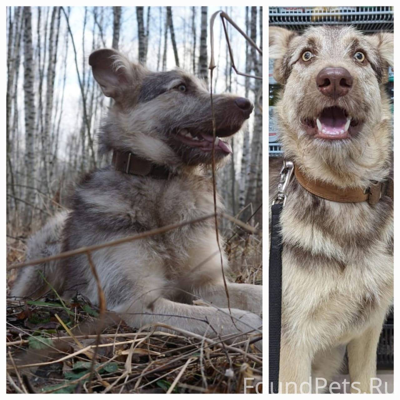 🆘🆘🆘🆘🆘🆘🆘🆘🆘 ОЧЕНЬ СРОЧНО НУЖНА П...