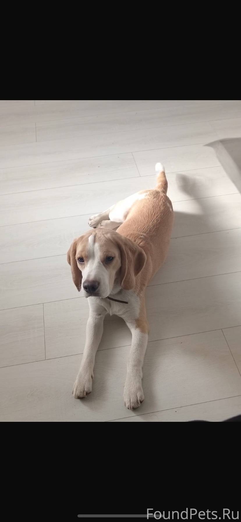 Сегодня 18.02 с улицы Герцена....