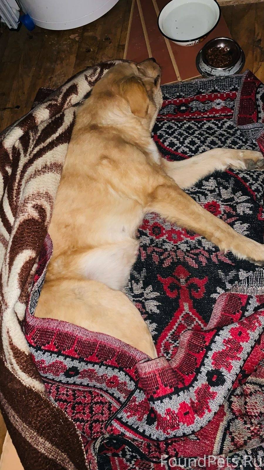 Вчера вечером, на Северной, СТ...