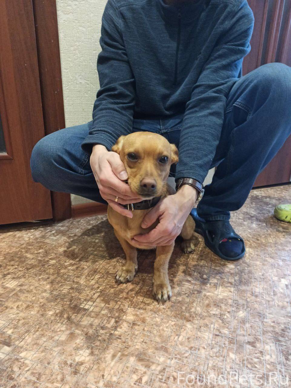 Здравствуйте! В воскресенье 02...