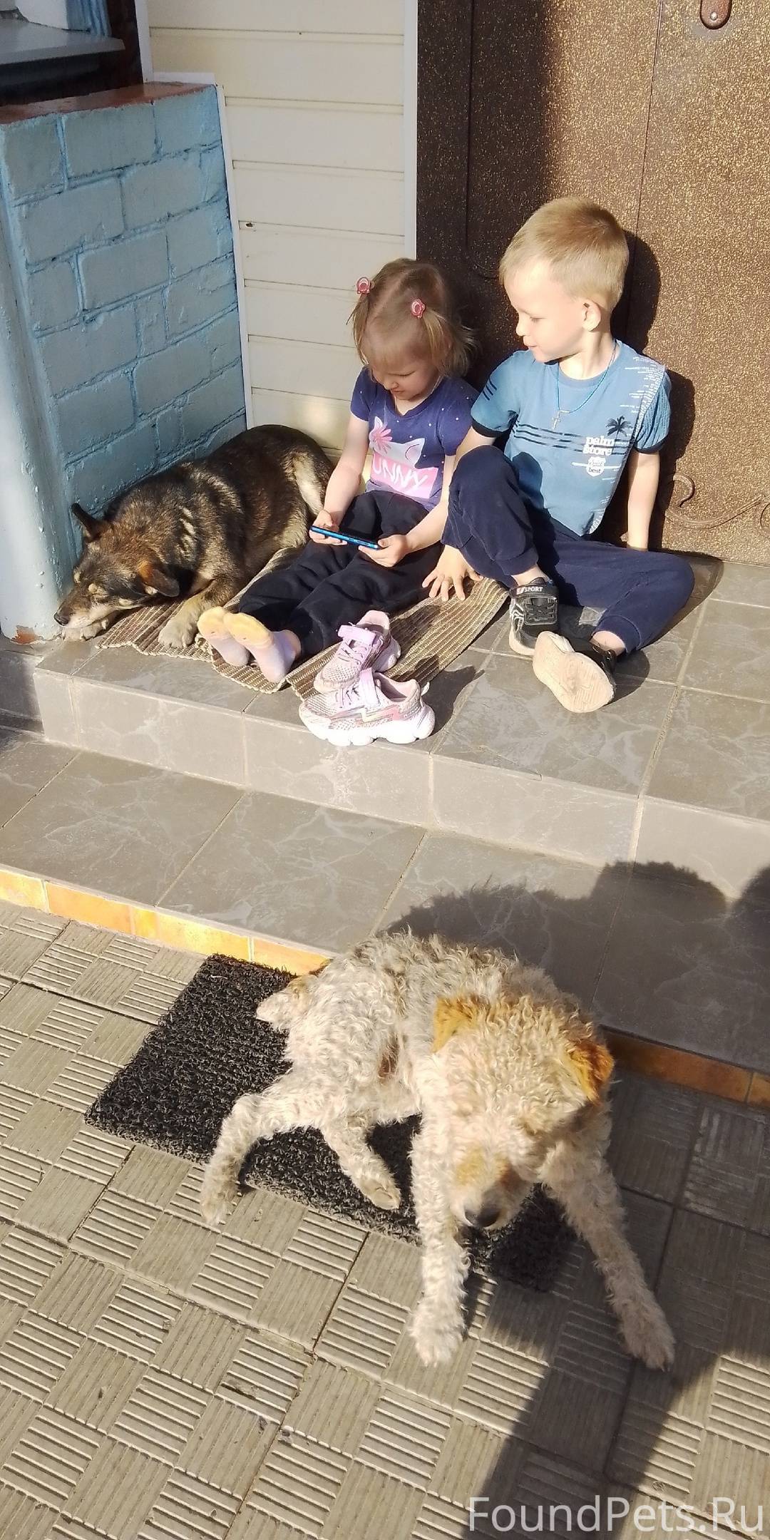 Здравствуйте, в районе деревни...