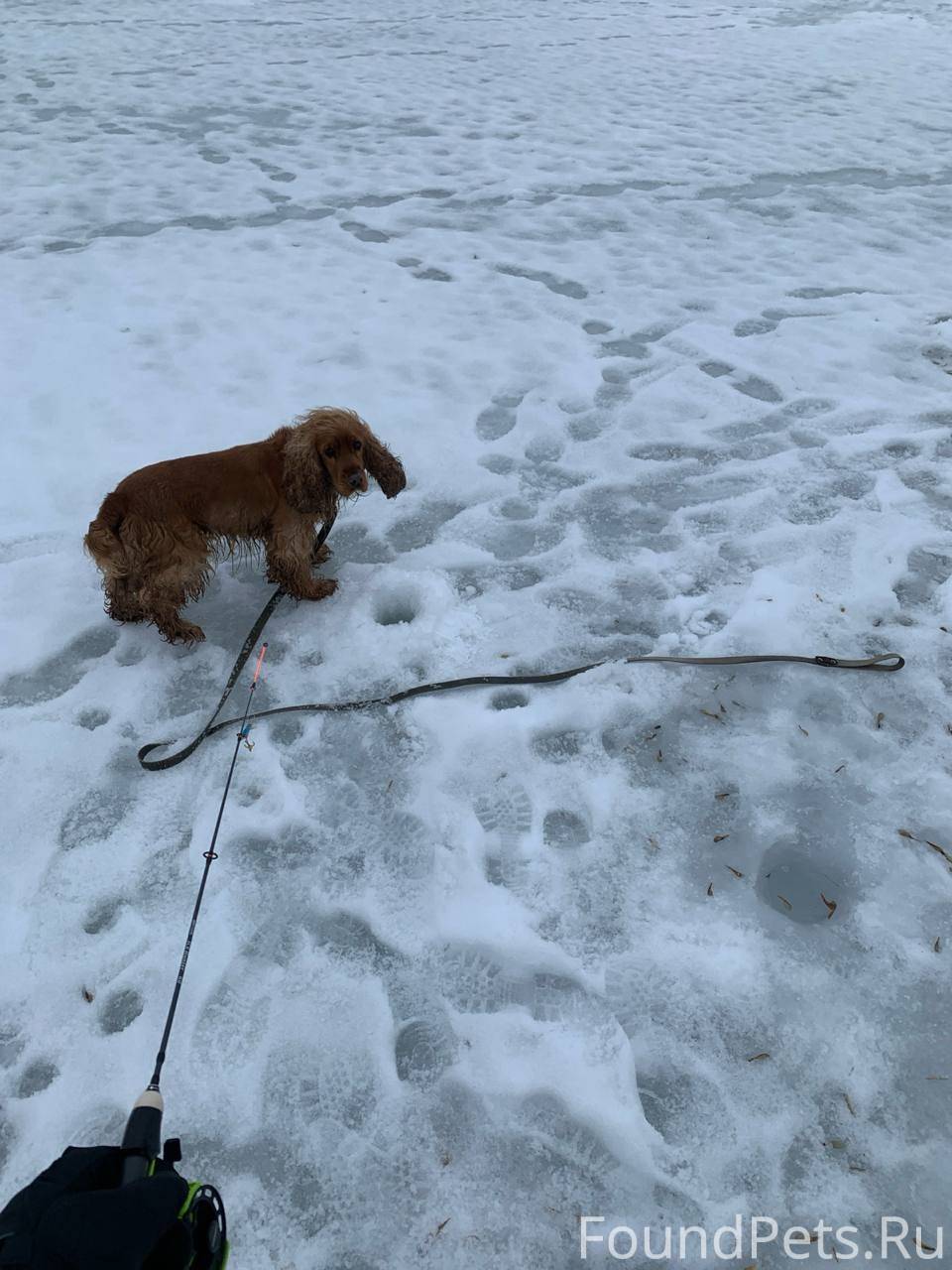 Сегодня в районе 11:00 на...