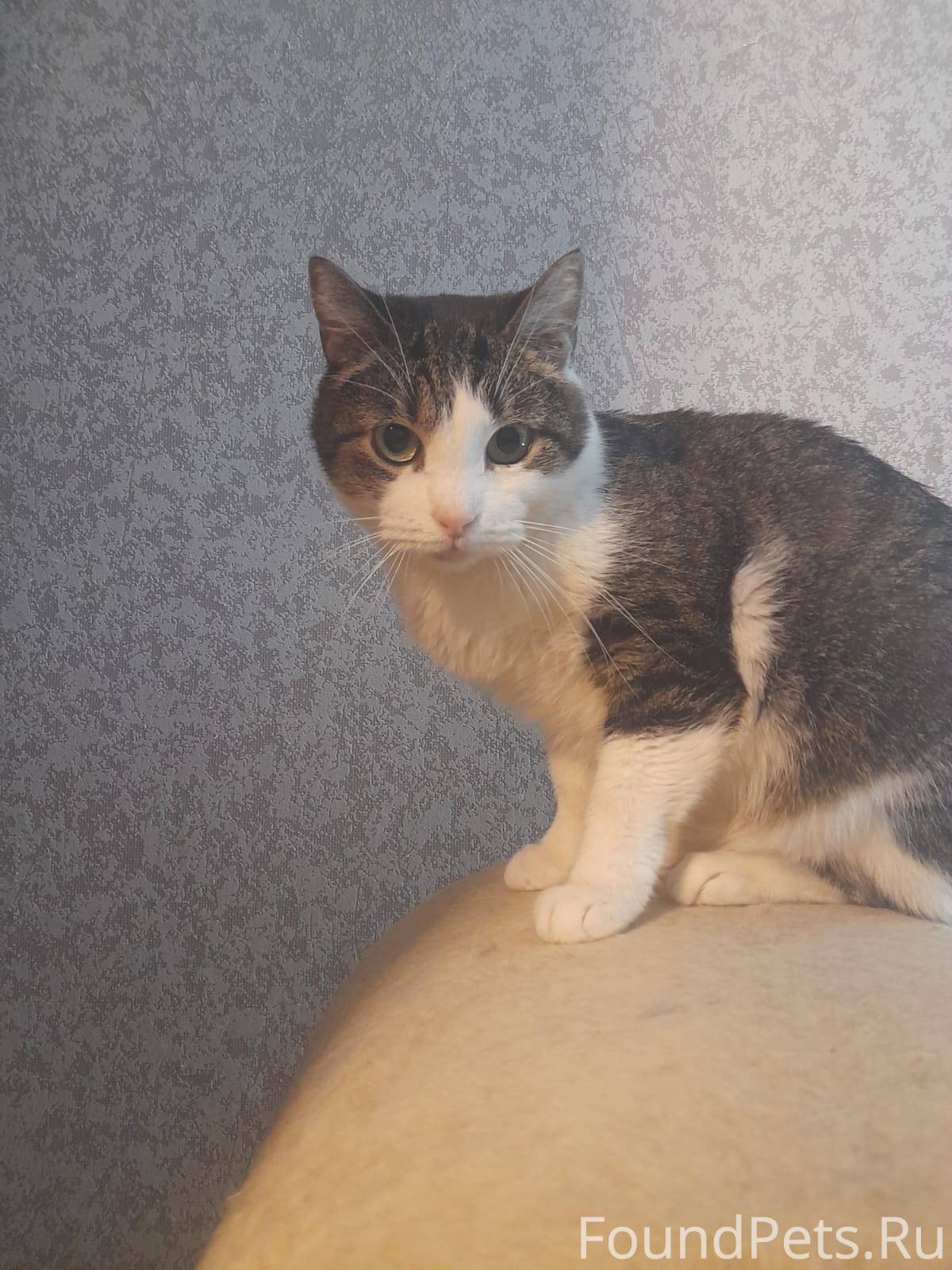 ❄Санкт- Петербург!❄ НЕСЧАСТНАЯ...