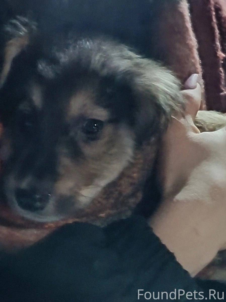 🆘🥲ВЕРНУЛИ ШАНЕЧКУ! ЛЮДИ, ЧТО С...