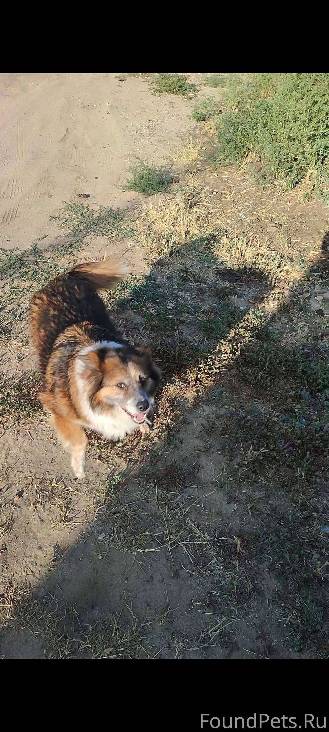 СРОЧНО, ОБРАТИТЕ ВНИМАНИЕ!!! П...