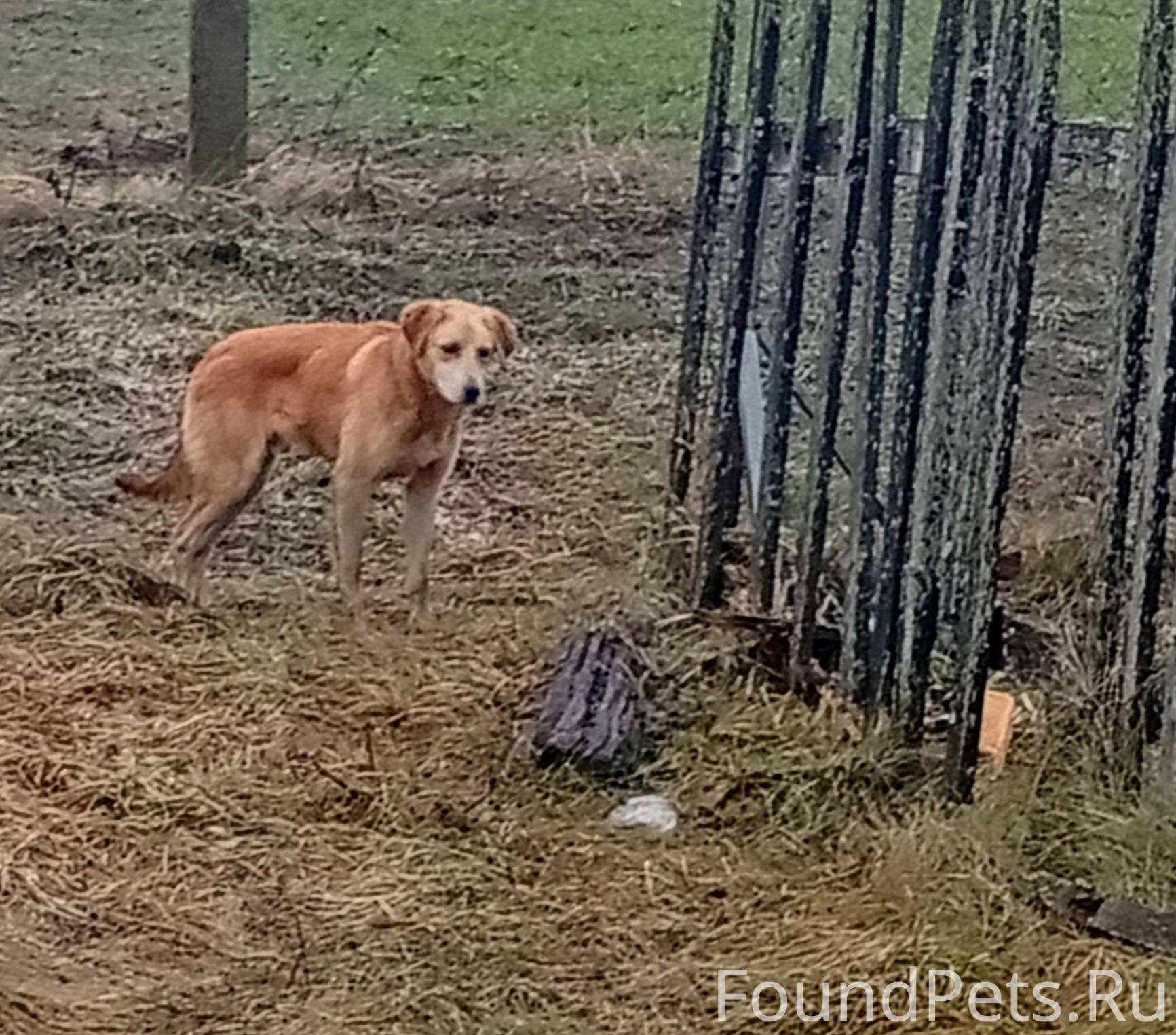 Может он у кого - то пропал...