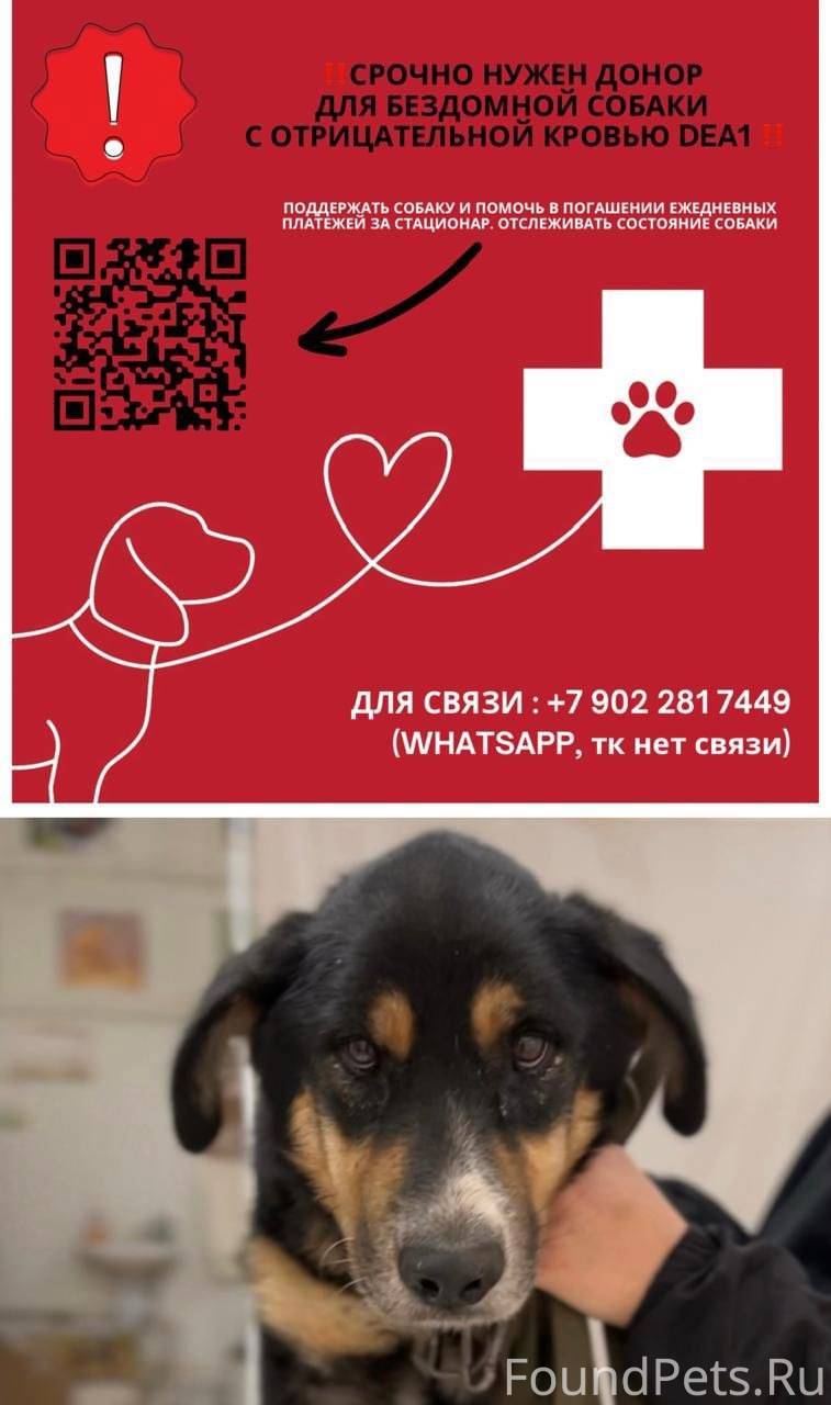 SOS 🆘🆘🆘🆘🆘 Пожалуйста у кого ес...