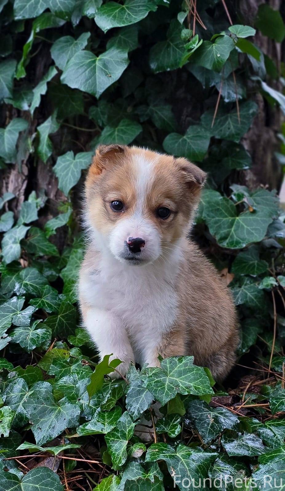 ПОДАРИТЕ МНЕ СЧАСТЬЕ, ПОЖАЛУЙС...