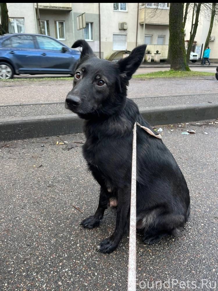 Прошу как можно больше репосто...