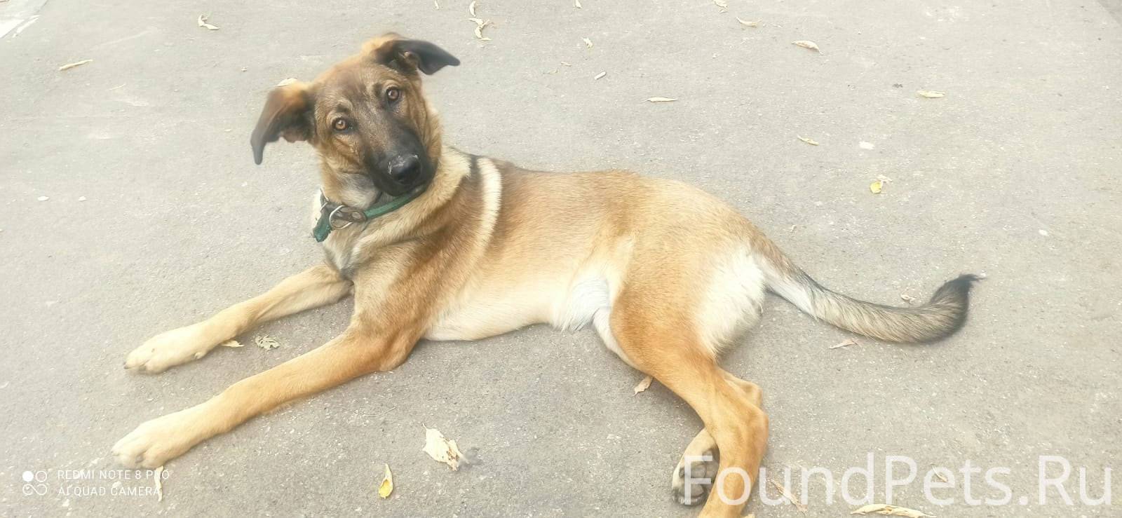 ВНИМАНИЕ !!!!! САМАРА, район К...