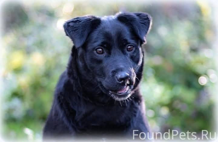 Санкт-Петербург и Ленинградска...