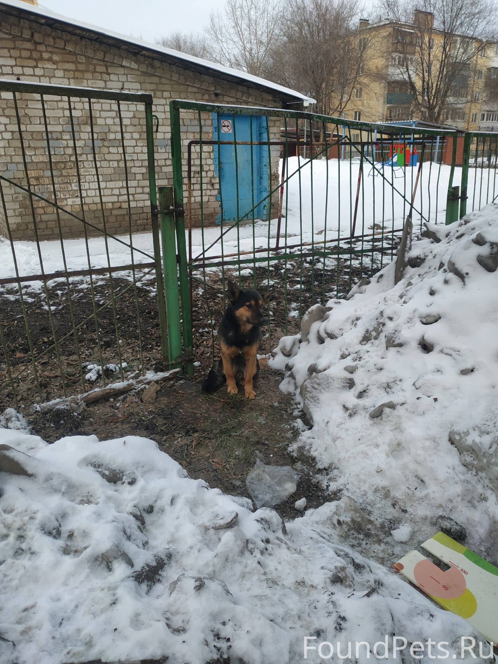 По адресу Волгина 138 прибился...