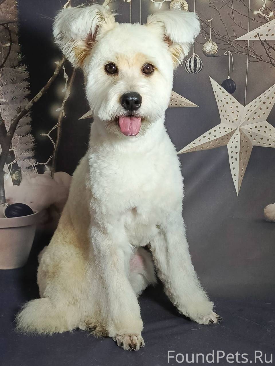 #ПРИЮТ_ХВОСТИКИ_СЧАСТЬЕ Вот та...