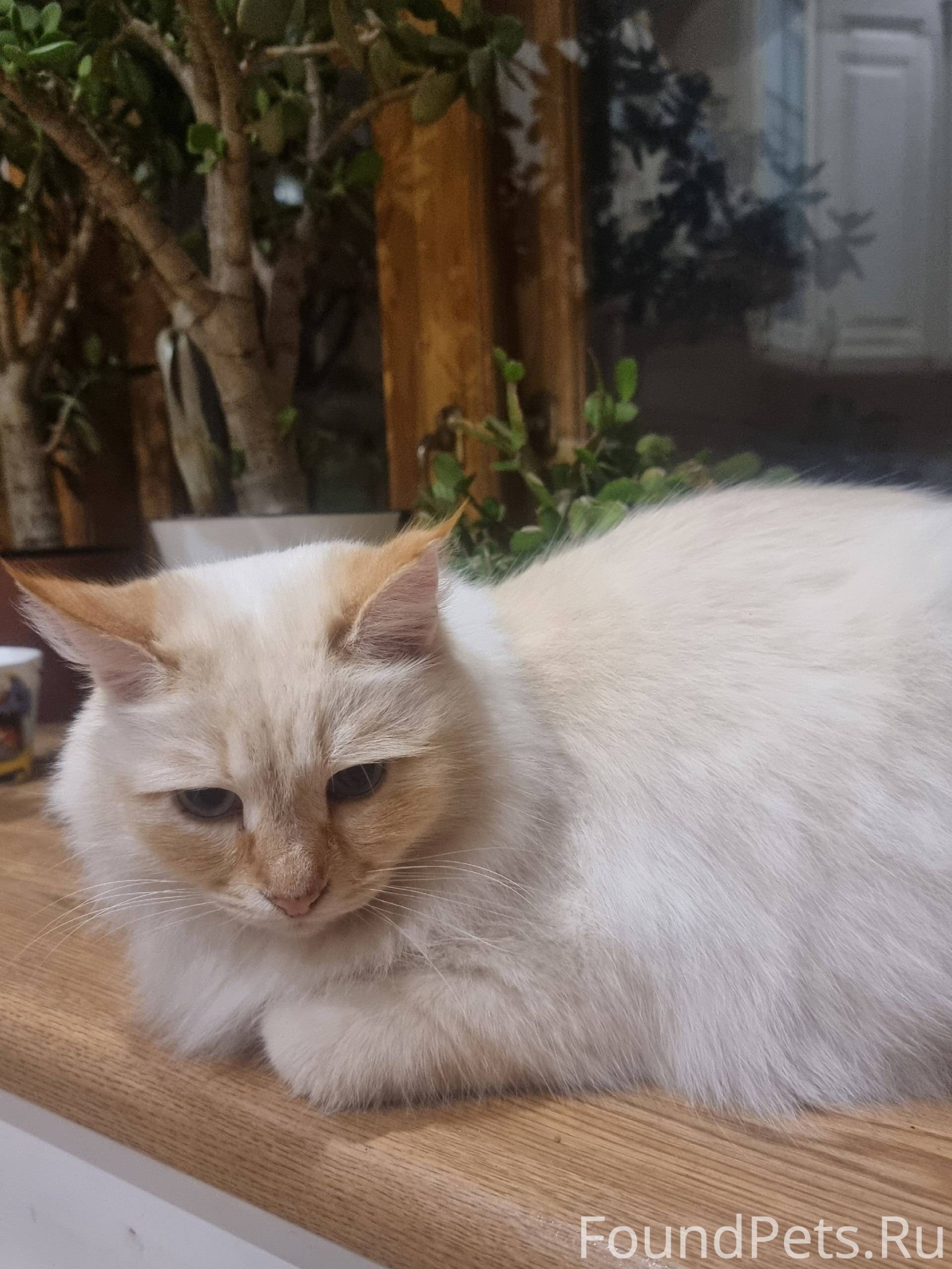 Друзья прошу максимальный репо...