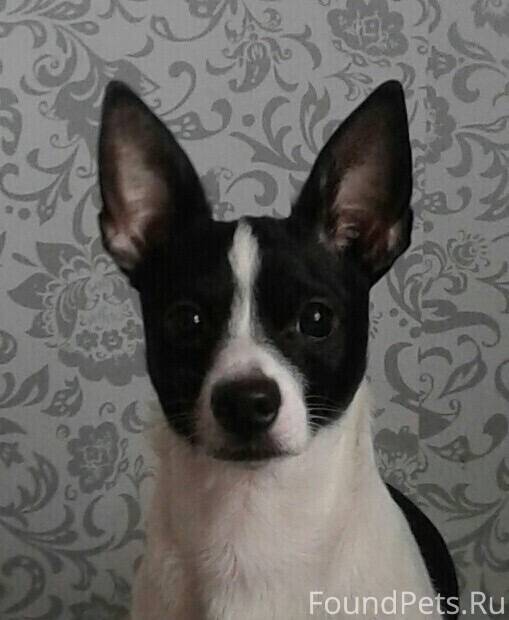 Верю в людей и не теряю...