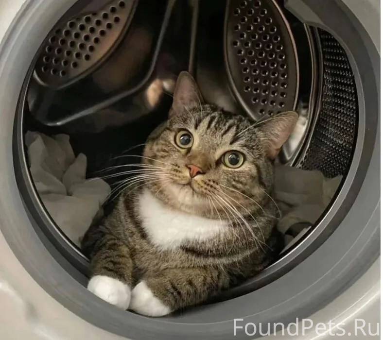 Вчера в моей жизни случилось с...