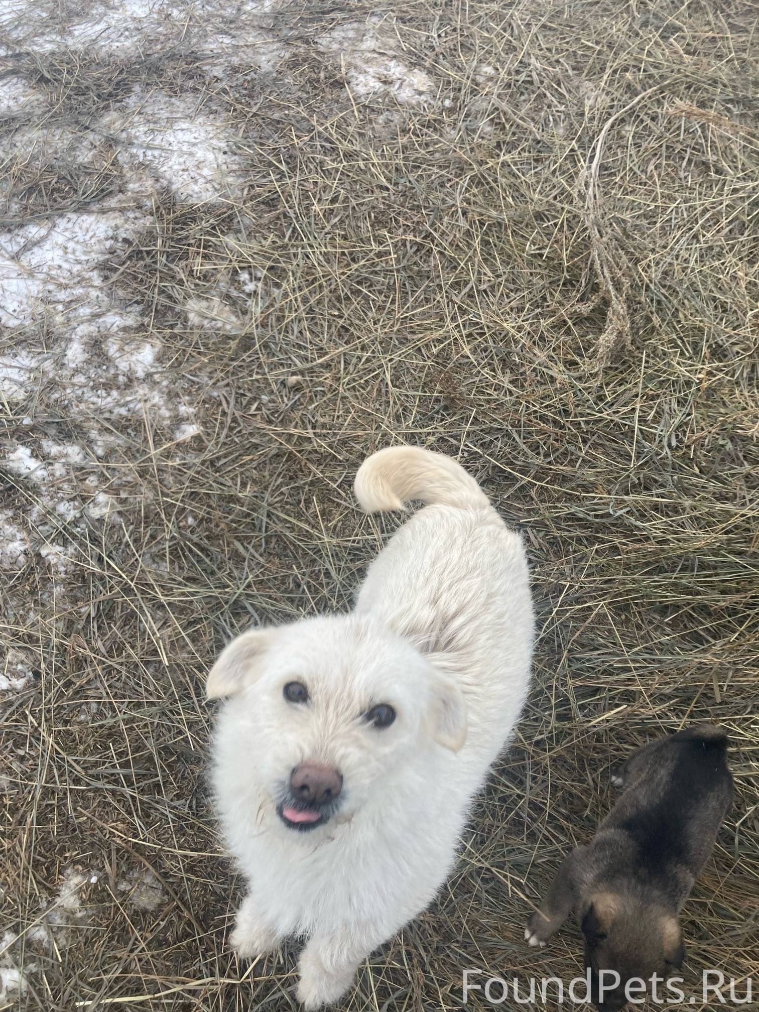 Вот такой сюрприз… Осенью к на...