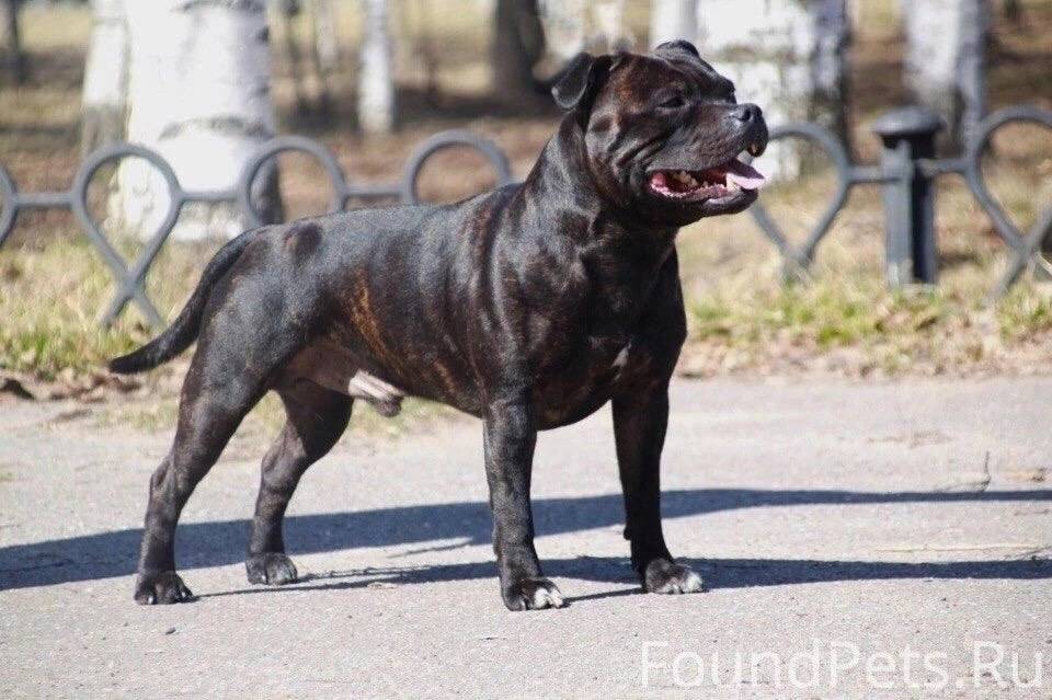 На территории СНТ Песчаный, Зе...