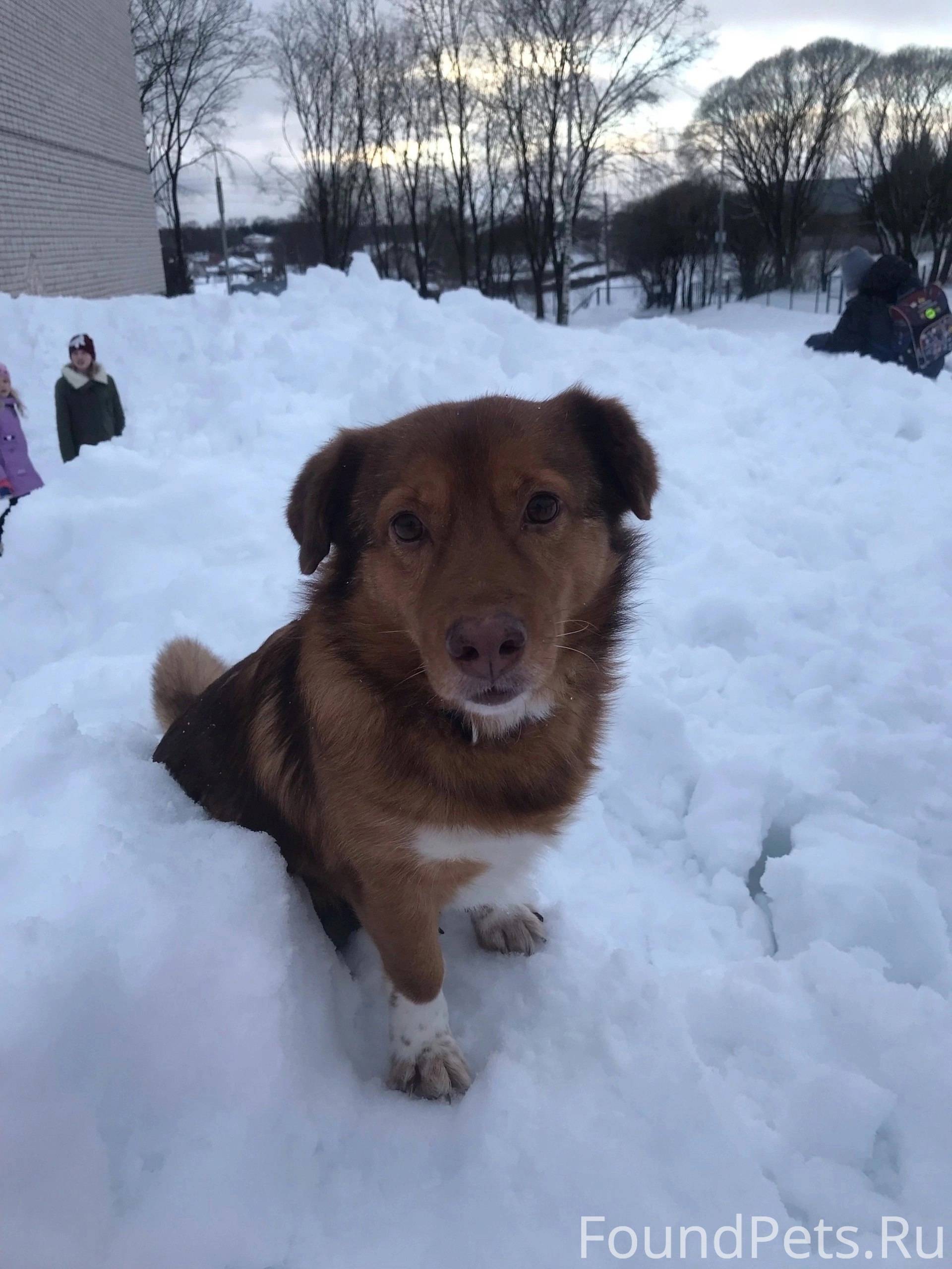 Пожалуйста помогите найти, про...