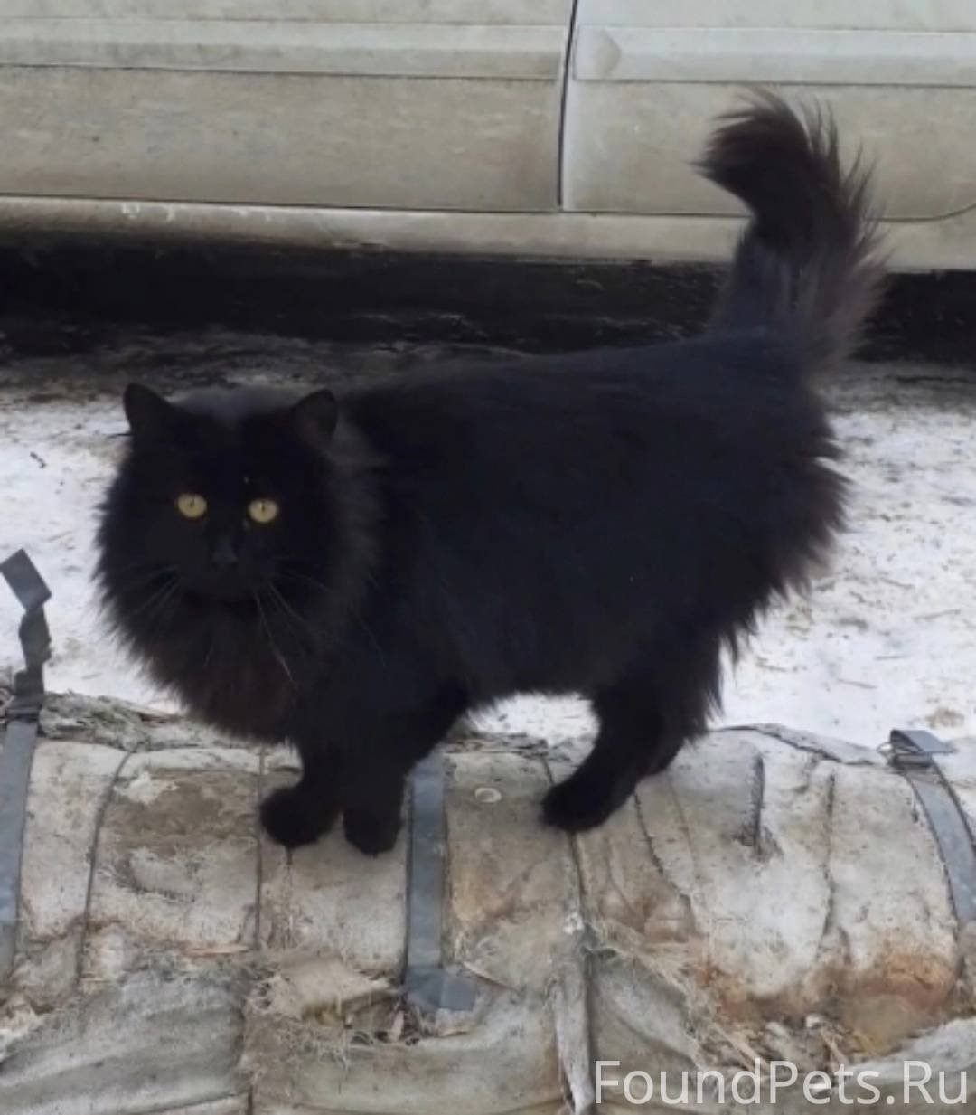 Здравствуйте. г. Саратов, райо...